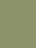 95 - zielony groszek